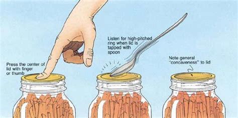 canning jar seal test|canned jar seal testing.